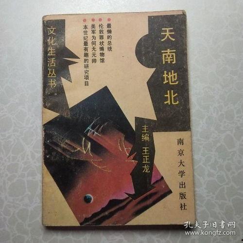 天南地北在线观看,跨越时空的在线之旅