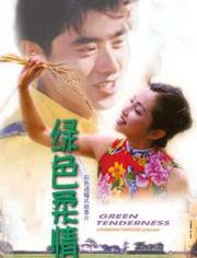 柔情在线观看,沉浸式情感之旅