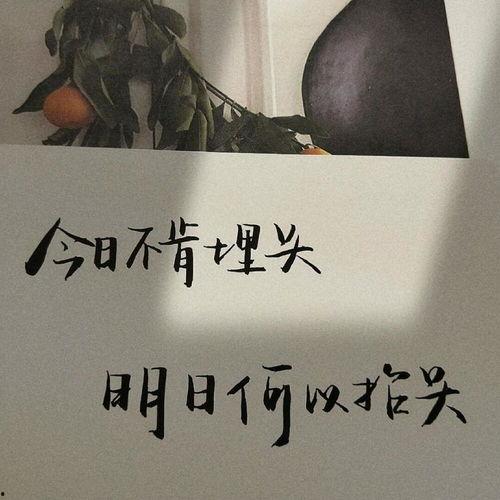 娱乐吃瓜酱励志文案短句,短句汇聚正能量