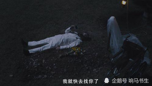 mv伦理在线观看,mv伦理在线观看深度解析
