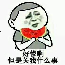娱乐吃瓜君王一博饿了么