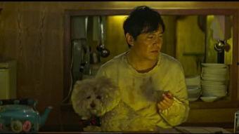 龙虾警探在线观看,在线揭秘神秘案件，探案之旅即将开启！