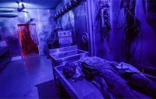 鬼屋在线观看免费,揭秘恐怖背后的真实故事