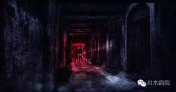 鬼屋在线观看免费,揭秘恐怖背后的真实故事