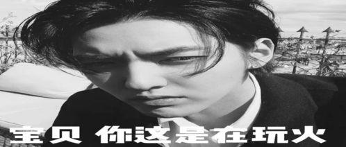 娱乐圈吃瓜搞笑文案,吃瓜群众欢乐多