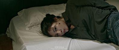 容器电影在线观看,容器电影在线观看之旅