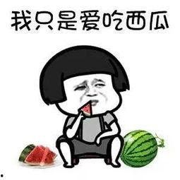娱乐瓜吃不停,明星八卦一网打尽！
