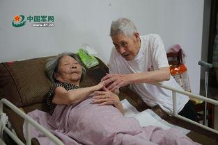 妻子撸在线观看,揭秘家庭伦理剧中的激情与挑战