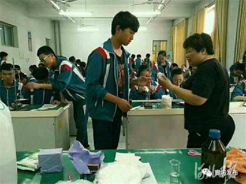恸哭的女教师在线观看,恸哭女教师背后的感人故事