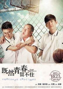 青春2000在线观看,在线重温那段激情燃烧的岁月