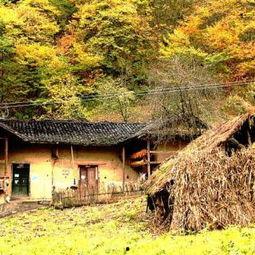 老屋在线观看,穿越时光的回忆之旅