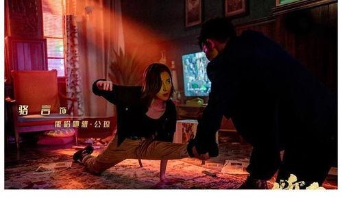 断金在线观看,揭秘古代传奇财富的神秘之旅