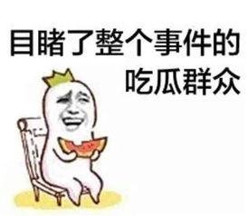 沙雕动画吃瓜系统娱乐圈,沙雕动画吃瓜系统带你笑看风云变幻