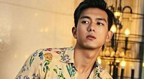 娱乐圈吃瓜男明星是谁啊,揭秘那些被热议的男星幕后故事