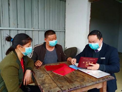 帮扶在线观看,助力脱贫攻坚，共筑美好未来