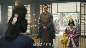 军师联盟42在线观看,谋略巅峰，智斗风云再起