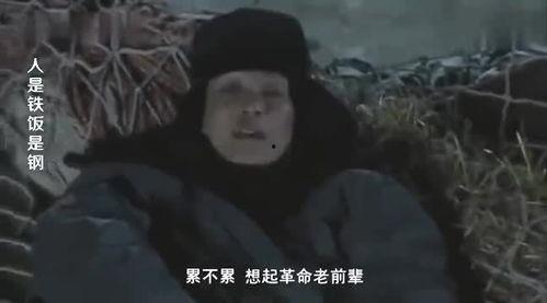 人是铁饭是钢在线观看,探寻饮食与健康的生活哲学