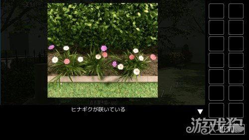 密码花园在线观看,在线观看解锁数字世界的奥秘