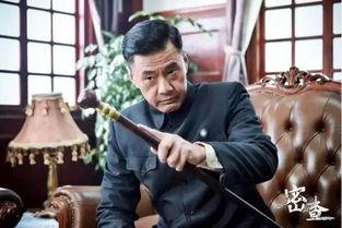 密查电视剧在线观看完整版,揭秘神秘事件，探寻真相的惊险之旅