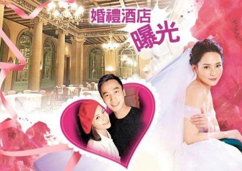《喜宴》在线观看,一场充满欢笑与泪水的中式婚礼盛宴