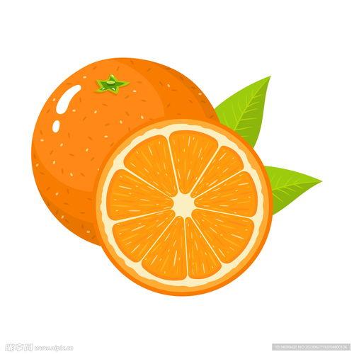 橙子动漫在线观看