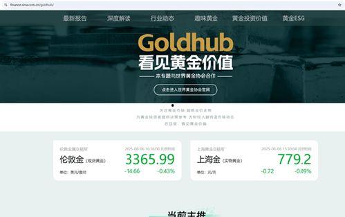 金频道在线观看,尽享精彩瞬间，畅游视听盛宴