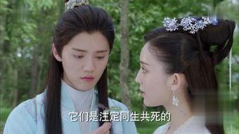 择天记免费在线观看,穿越奇幻世界，共赴青春冒险之旅