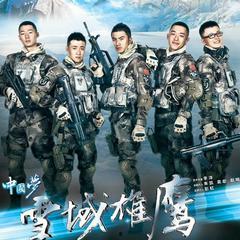 在线观看雪域雄鹰,高原传奇，壮志凌云的探险之旅