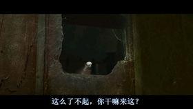 曼谷复仇在线观看,网络直播下的生死较量