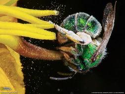 电影夜蛾在线观看,暗夜中的光明之战