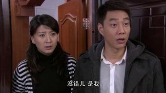 电视剧家有一老在线观看,岁月流转，亲情永恒