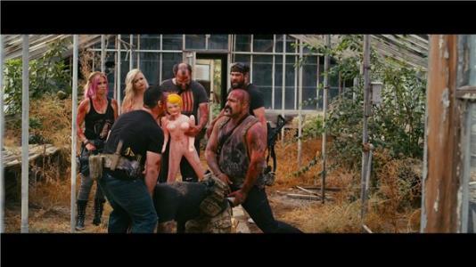 电影 软杀 在线观看,揭秘网络世界的无形杀手，揭秘网络犯罪背后的黑暗面