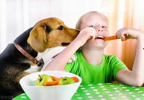 娱乐吃瓜菌狗狗,揭秘娱乐圈那些不为人知的幕后故事