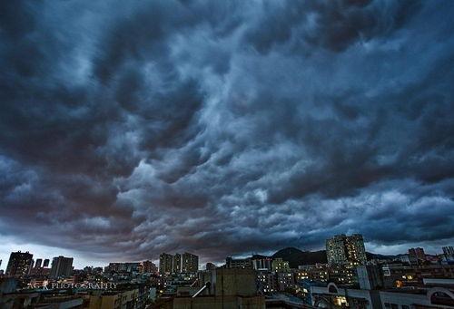 恐怖笼罩城市在线观看,惊悚悬疑，揭秘都市暗影