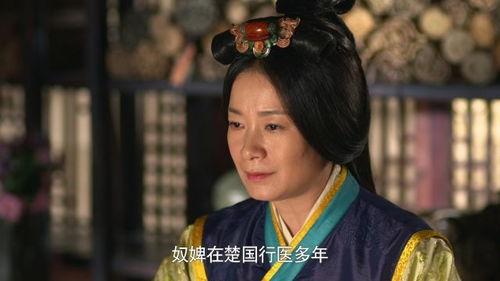 芈月传39在线观看,权谋巅峰，芈月智斗群雄