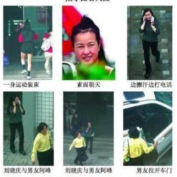 小狗仔每天在娱乐圈吃瓜小说