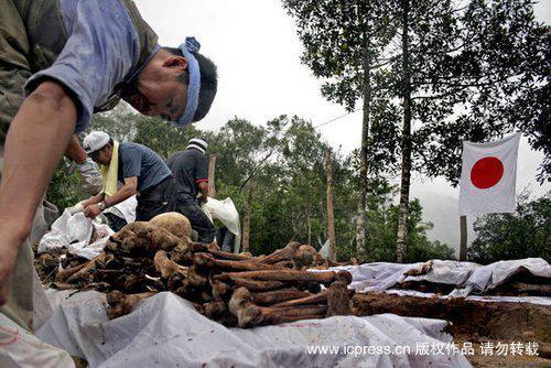 电影 遗骸 在线观看,探寻生死边缘的惊悚之旅