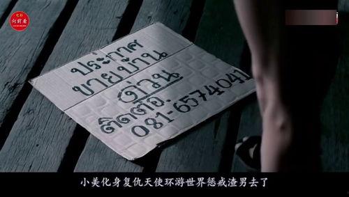 尸油 在线观看,在线揭秘惊悚真相