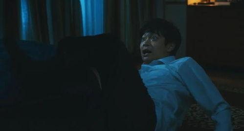 曰本片在线观看,一场视觉与情感的盛宴