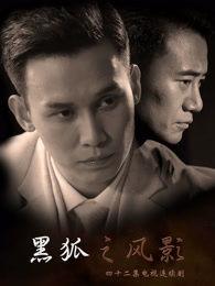 电视剧黑狐全集在线观看,谍影重重，揭秘抗战岁月的生死较量