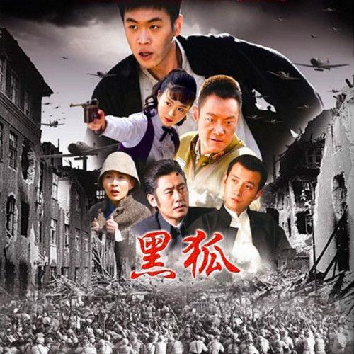 电视剧黑狐全集在线观看,谍影重重，揭秘抗战岁月的生死较量