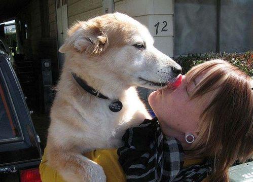 娱乐吃瓜酱舔狗